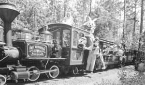 Image of Fort Wilderness train at MAPO